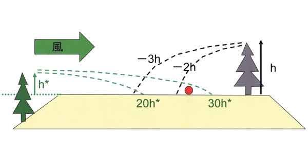風下樹木の影響模式図