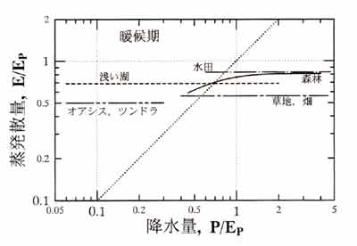 各種地表面の無次元蒸発量