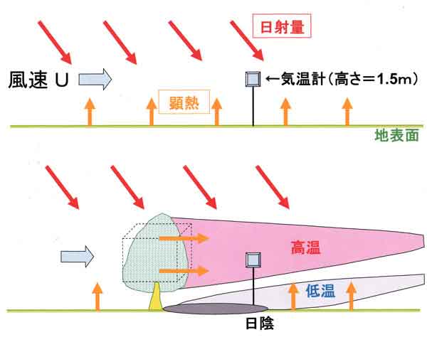 樹木風下の気温分布模式図