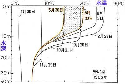 水温の鉛直分布