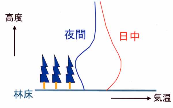 林地の気温分布