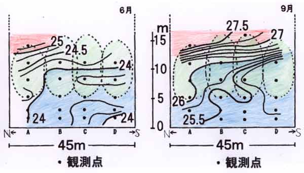 定禅寺通りの気温断面