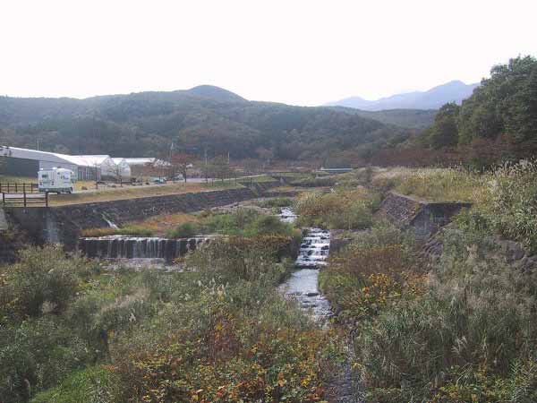 秋山沢川2007年その４