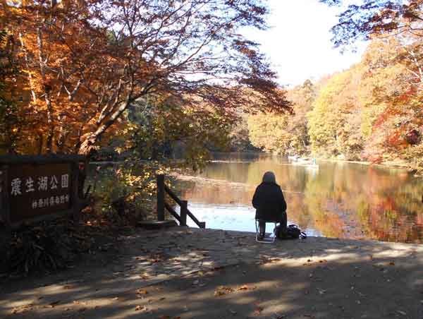 斜面の公園