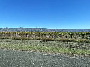 �i�p�o���[