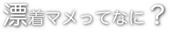 漂着マメってなに？