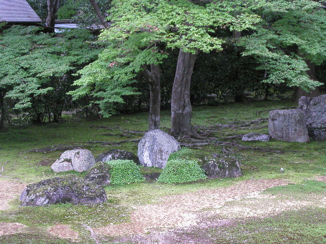 岩と刈り込み1