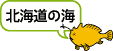 �k�C���̊C