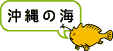����̊C
