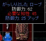 がっしりしたローブ