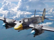 hs129_04.jpg