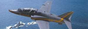hawk02.jpg