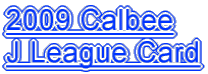 2009 Calbee J League Card