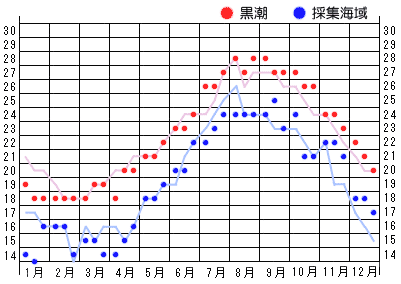 2022年水温グラフ