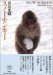 snow monkey