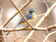 �����r�^�L