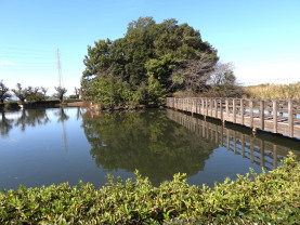 天沼
