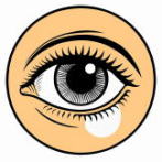 穴から見える絵