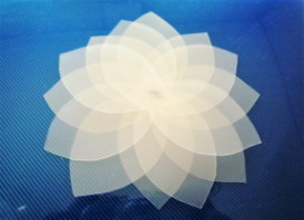 クリアフォルダの花