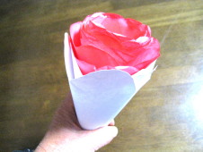 一輪の花のプレゼント