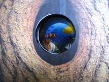 穴から見える絵