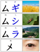 カタカナカード