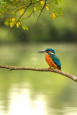 生成AIで作った絵