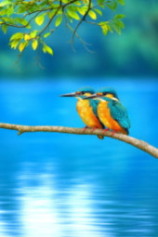 生成AIで作った絵