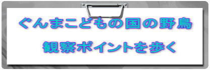 ����܂��ǂ��̍��̖쒹 �@�@ �@�@�ώ@�|�C���g�����