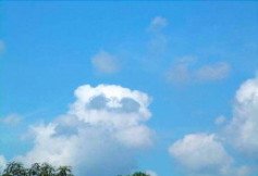 パンダに見える雲