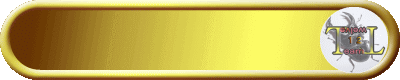 �V���̃t���b�V���E�I�I�N��