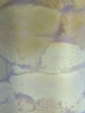 �E�j