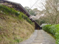 �ꉮ