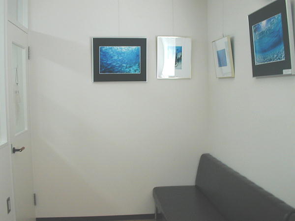 ��Q�ҍ����@���ׂȂǂ������Ȃ��悤��