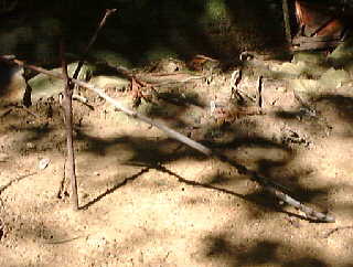�ړI�n����
