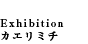 Exibition �J�G���~�`