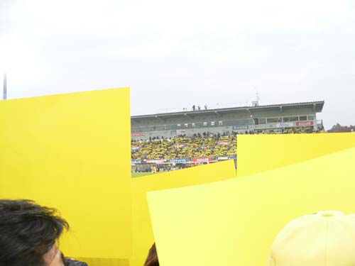 ���G�̃x�X�g�V���b�g���B����l��������΂����B