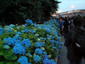 ������������N�O�Ƃ���Ȃ�