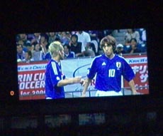 ���c�ƒ�������