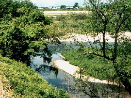 mikami27.jpg�^�Ԑ썇��