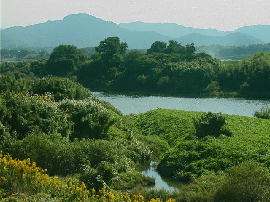 tougo04.jpg�^���Ë�