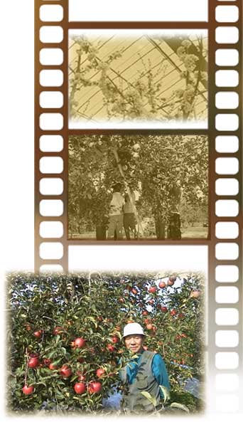 ���݃C���[�W