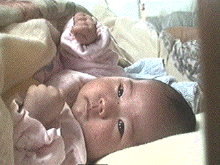 photo10.gif