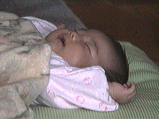 photo12.gif