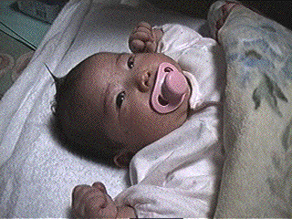 photo13.gif