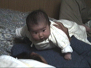 photo14.gif