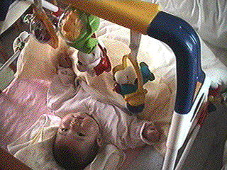 photo15.gif