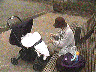 photo16.gif