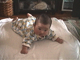 photo17.gif