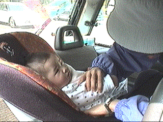 photo19.gif